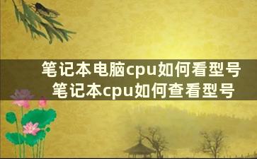 笔记本电脑cpu如何看型号 笔记本cpu如何查看型号